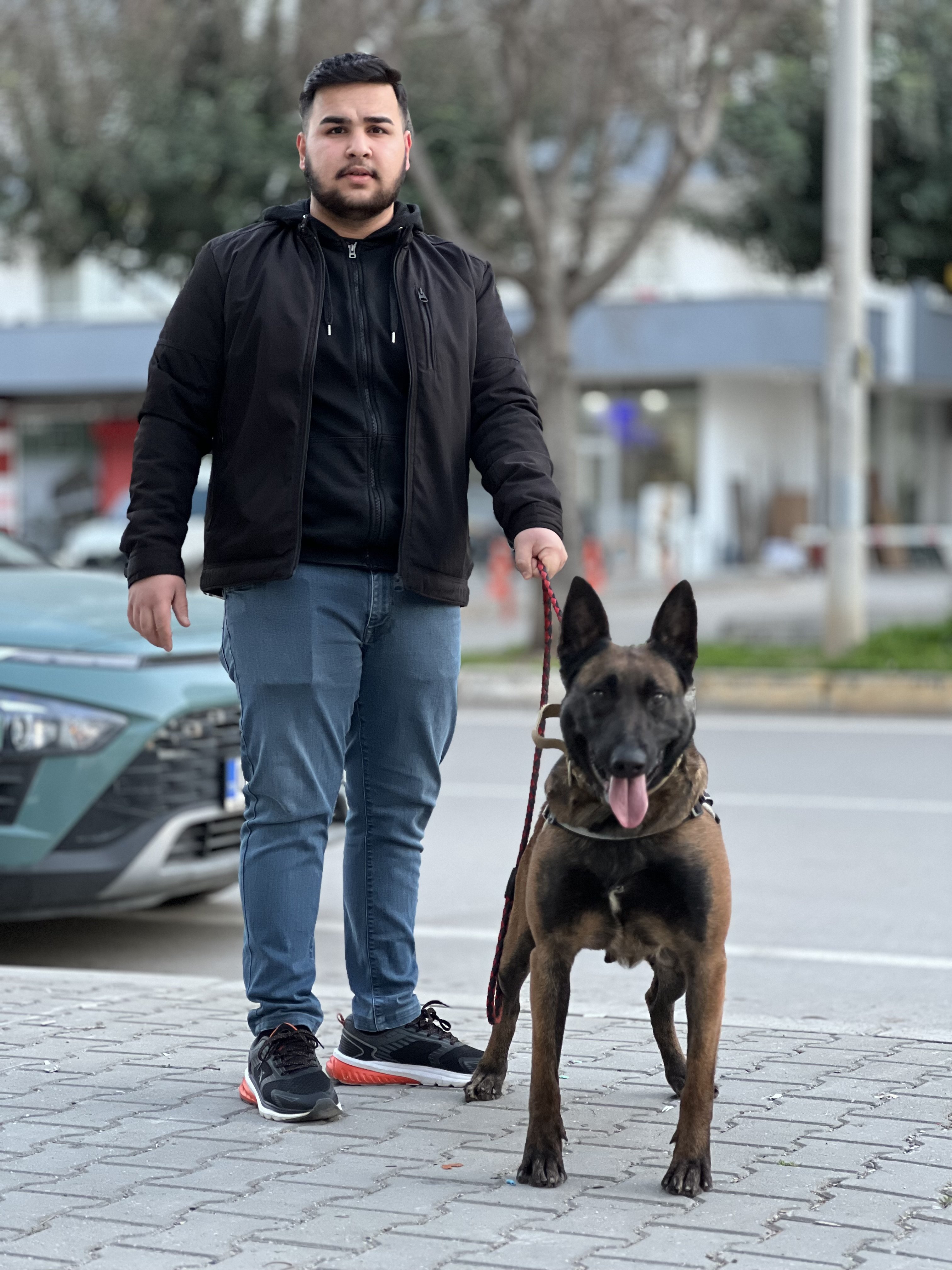 𝑬.𝑮/🇹🇷 Adana Belçika Malinois